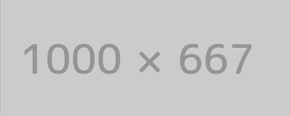 Latest WordPress News